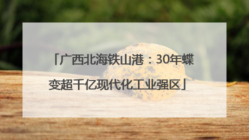 广西北海铁山港：30年蝶变超千亿现代化工业强区